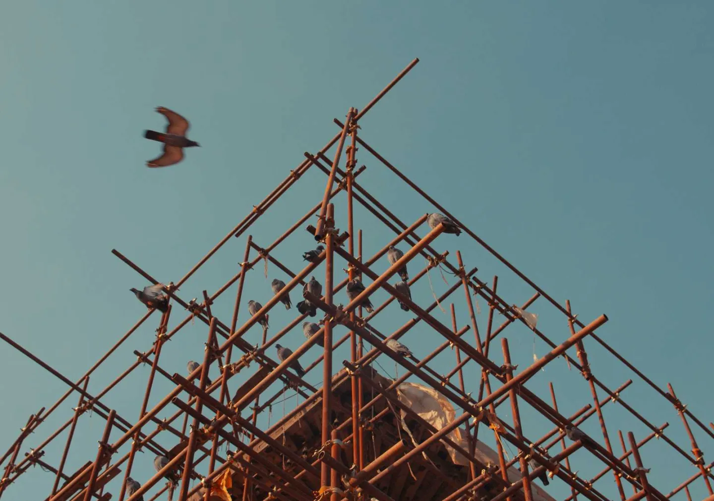 We rebuilt our platform from scratch: here's what we learnt
